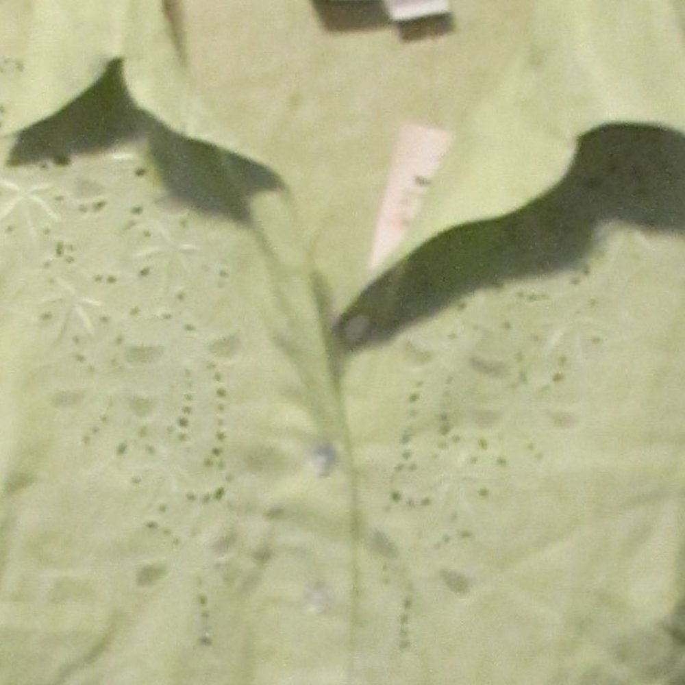 Alexandra Bartlett Woman 100% linen 1X Blouse NWT